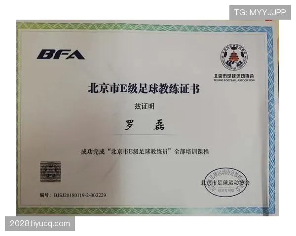 犯规种类及其判罚标准详解，帮助理解足球裁判规则