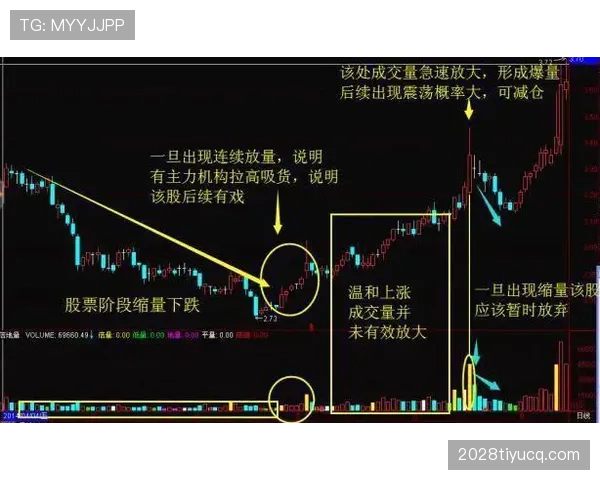 亚马尔与维尼修斯边路突破效率差异及技术路径对比