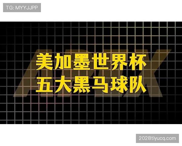 世界杯C组黑马球队排行榜最终版